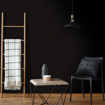 Coala Interior Colours
