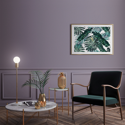Coala Interior Colours