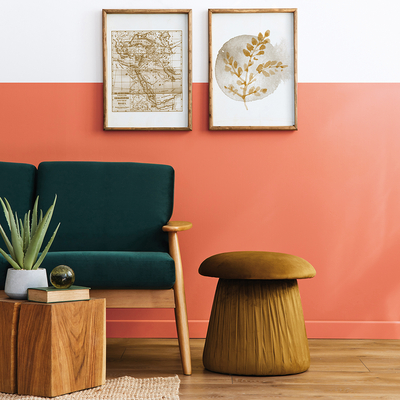 Coala Interior Colours
