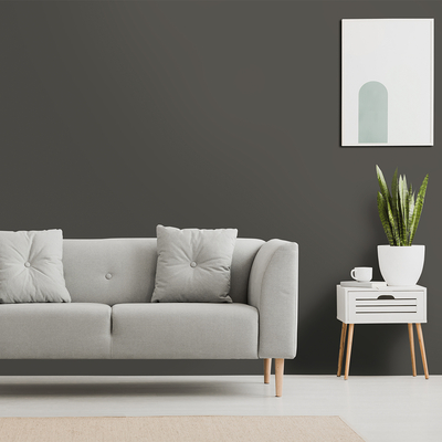Coala Interior Colours