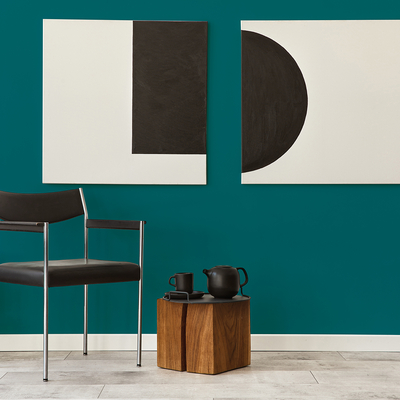 Coala Interior Colours
