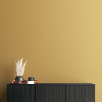 Coala Interior Film Wood