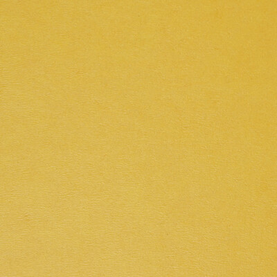Sparta feuille grand format