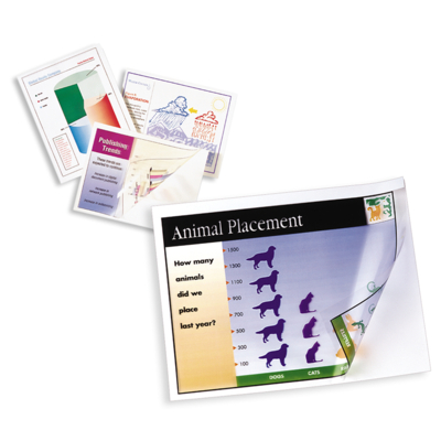 Xerox Premium Folien Universal