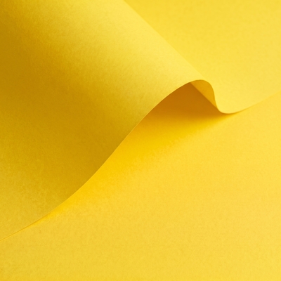 Olin Colours