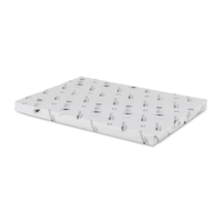 Raflatac Vellum Blanc