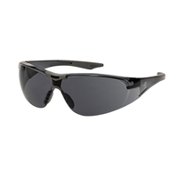 Schutzbrille Artispec 220, grau/smoke