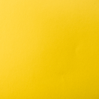 S335 Bitter Yellow