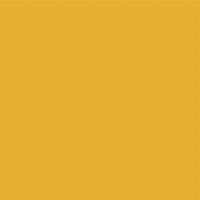 860 Corn Yellow