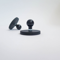 Magnet