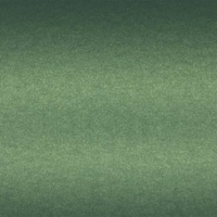 Avery SWF Matte Metallic Moss Green