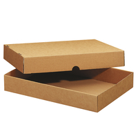 Formatschachtel Master'in Access, 300 x 215 x 110 mm | Antalis CH
