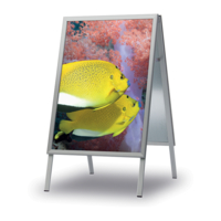 Doublesided Infoboard