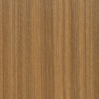 Coala Interior Film Wood