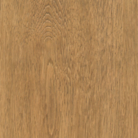 Coala Interior Film Wood