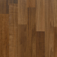 Coala Interior Film Wood