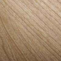 Coala Interior Film Wood