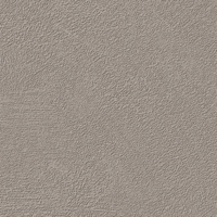Coala Interior Film NH13