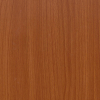 Coala Interior Film Wood