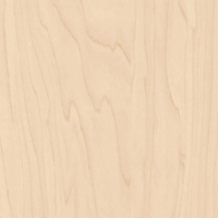 Coala Interior Film Wood