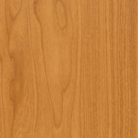 Coala Interior Film Wood