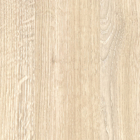 Coala Interior Film Wood