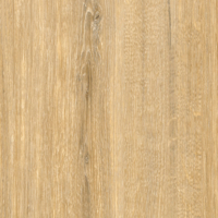 Coala Interior Film Wood