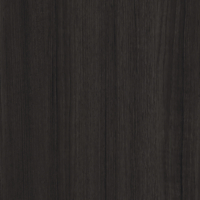 Coala Interior Film Wood