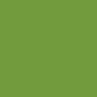Coala Interior Colours