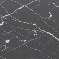 Coala Interior Film Natural Stone