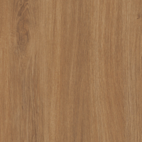 Coala Interior Film Wood