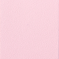 Coala Interior Colours