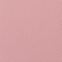 Coala Interior Colours