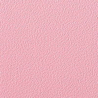 Coala Interior Colours