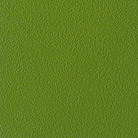 Coala Interior Colours