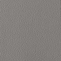 Coala Interior Colours