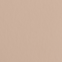 Coala Interior Colours