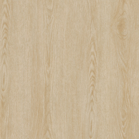 Coala Interior Film Wood