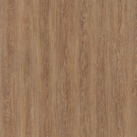 Coala Interior Film Wood