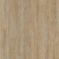Coala Interior Film Wood