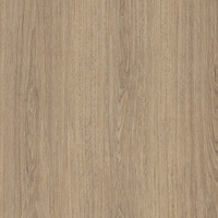 Coala Interior Film Wood