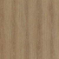 Coala Interior Film Wood