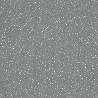 Coala Interior Film Natural Stone