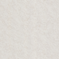 Coala Interior Film Natural Stone
