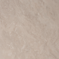 Coala Interior Film Natural Stone