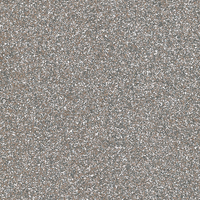 Coala Interior Film Glitter