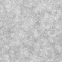 Coala Interior Film Glitter