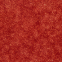 Coala Interior Film Glitter