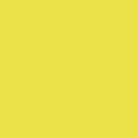 Coala Interior Colours