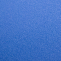 Coala Interior Colours